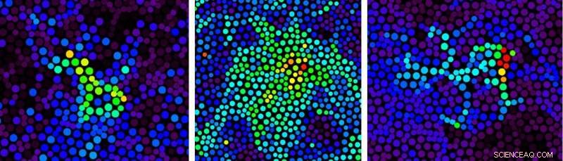 Laser-Based Microscopy Reveals Structure of Colloidal Glasses