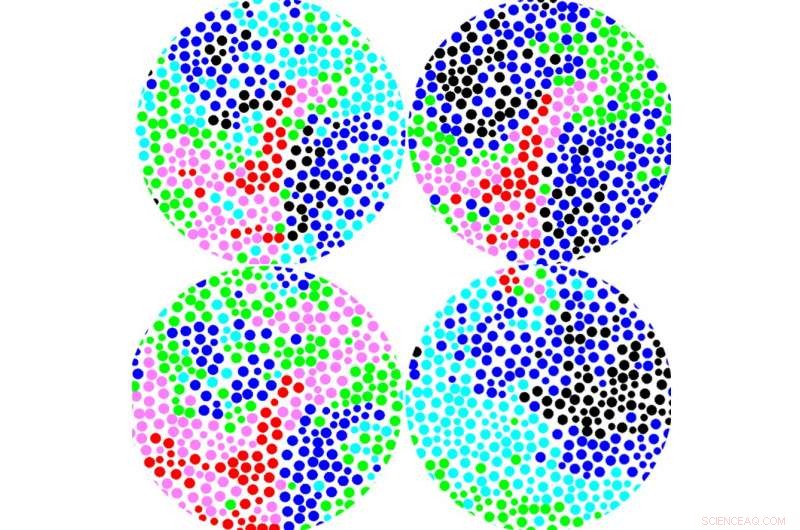 Laser-Based Microscopy Reveals Structure of Colloidal Glasses
