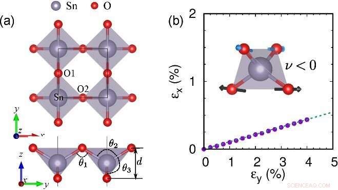 Theoretical Prediction Positions Tin Dioxide as a Promising 2‑D Semiconductor