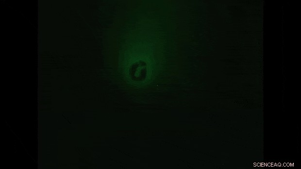 Shape‑Shifting Microdevices for Long‑Term Gastrointestinal Drug Delivery