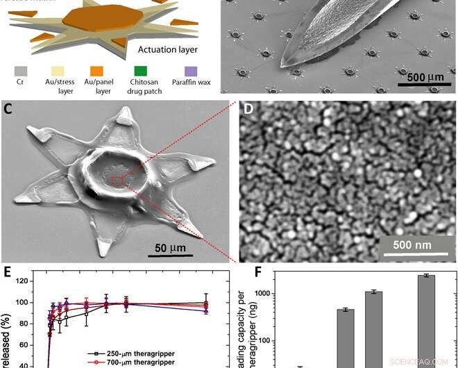 Shape‑Shifting Microdevices for Long‑Term Gastrointestinal Drug Delivery