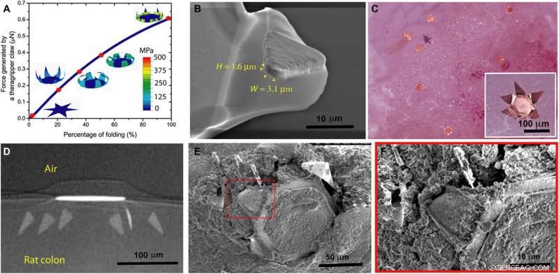 Shape‑Shifting Microdevices for Long‑Term Gastrointestinal Drug Delivery