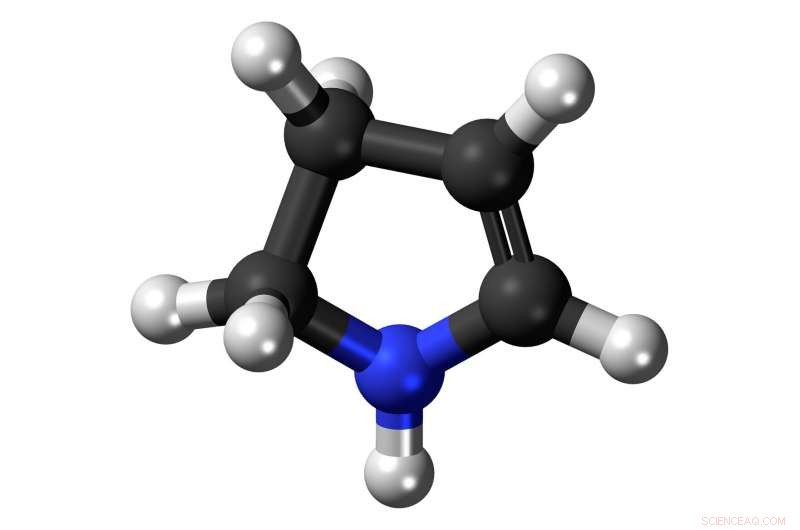 Catalytic Nitrogen Transfer: Mechanisms and Applications