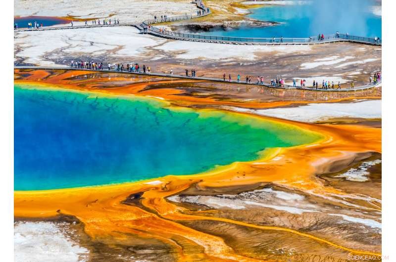 Reducing Greenhouse Gases: Expert Tips from a Methane‑Eating Microbe