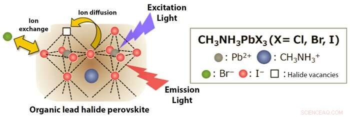 Mastering Perovskite Ion Composition Unlocks Device Innovation