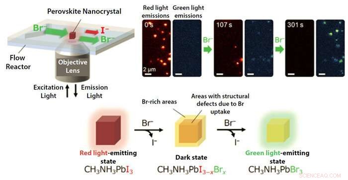 Mastering Perovskite Ion Composition Unlocks Device Innovation