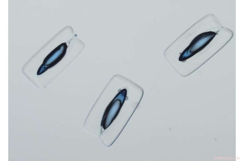 Scientists Develop Tiny Armored Emulsion Test Tubes for Parallel Chemical Reactions