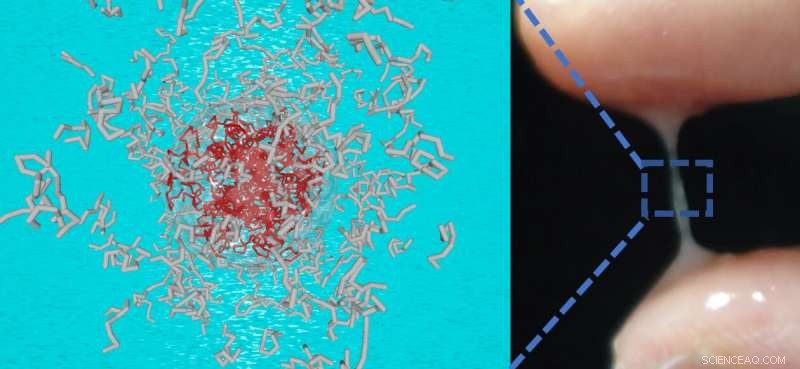 Patented Hydrogel for Effective Dry Mouth Relief & Food Innovation