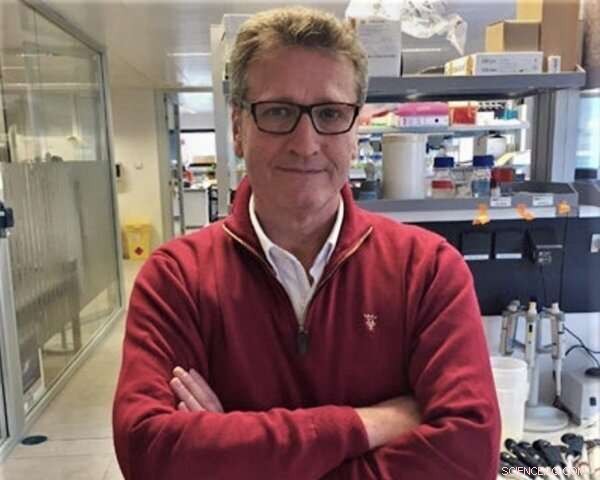 New Cannabidiol-Based Molecules Show Superior Antioxidant Activity