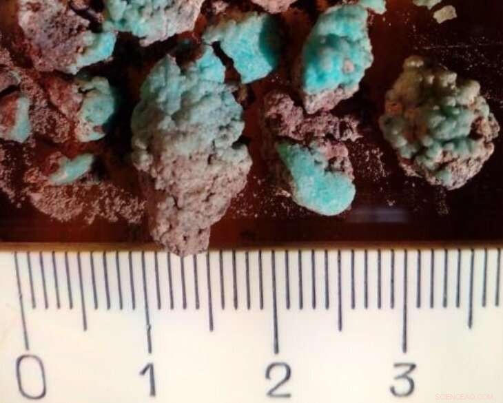 New Mineral  Petrovite  Discovered by Researchers in Kamchatka