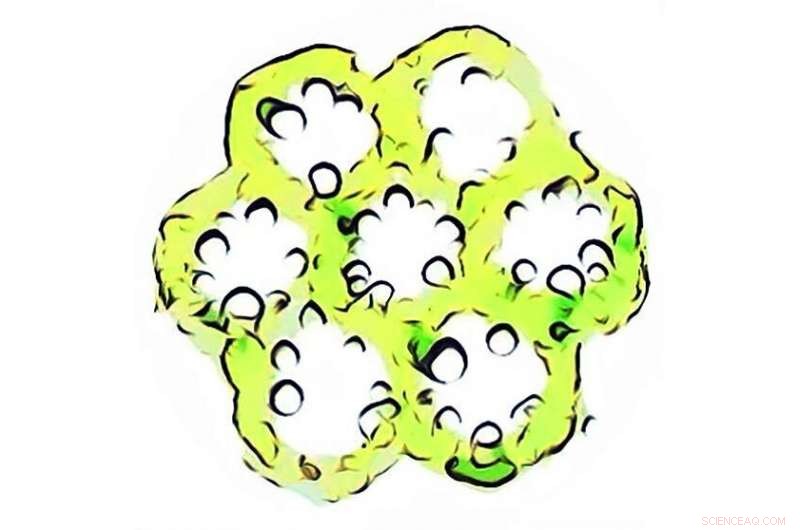 Algae Infuse 3‑D Engineered Tissues with Vitality and Function