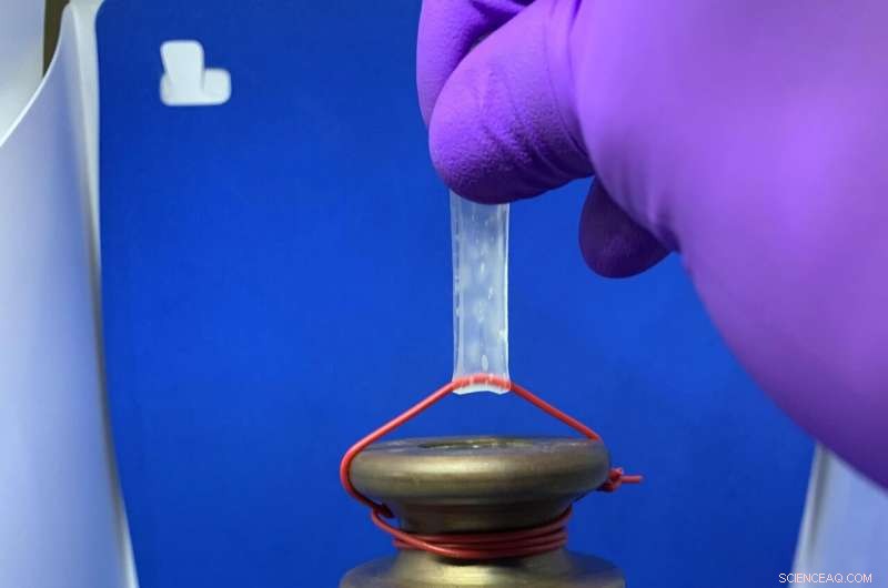 Innovative Process Bridges Gap Between Natural and Synthetic Materials