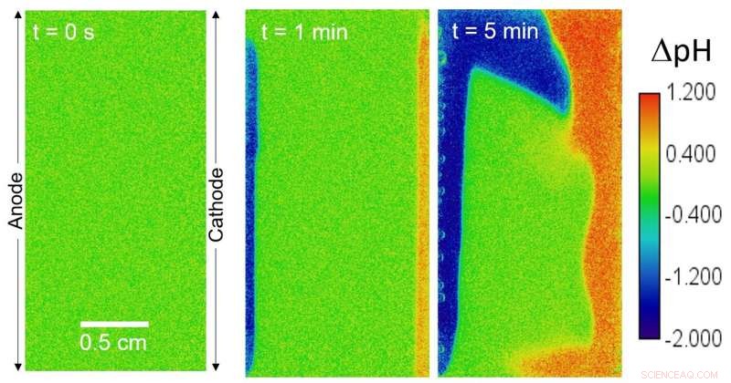 Green Hydrogen: Enhancing Electrolyte Performance Through Buoyancy-Driven Convection