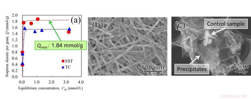 Seaweed‑Inspired Nanopowder Filter for Effective Removal of Toxic Metal Ions