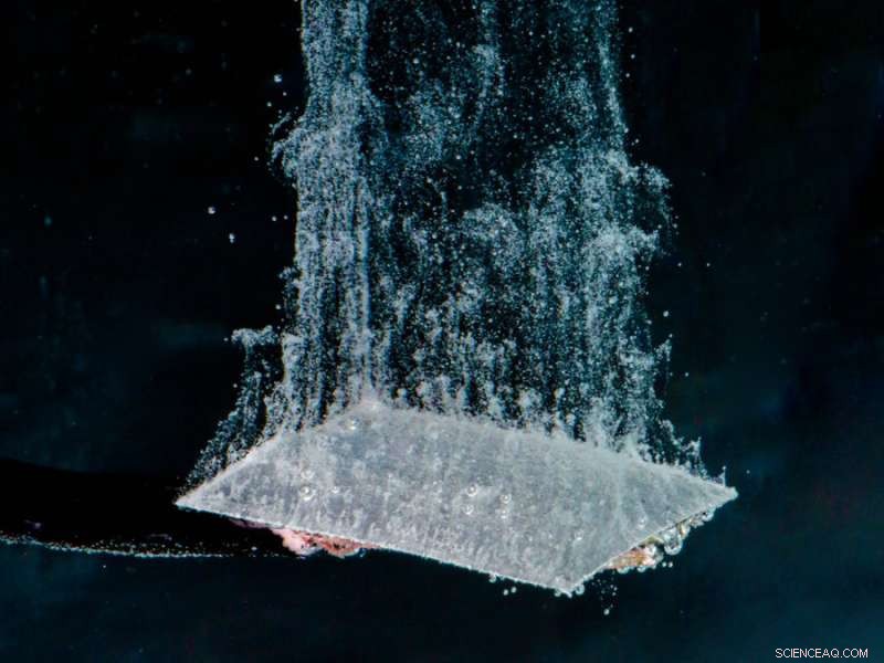 Unveiling the Chemistry of Electrocatalytic Water Splitting