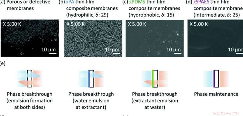 Revolutionary Membrane Promises Affordable, Efficient Biofuel Production