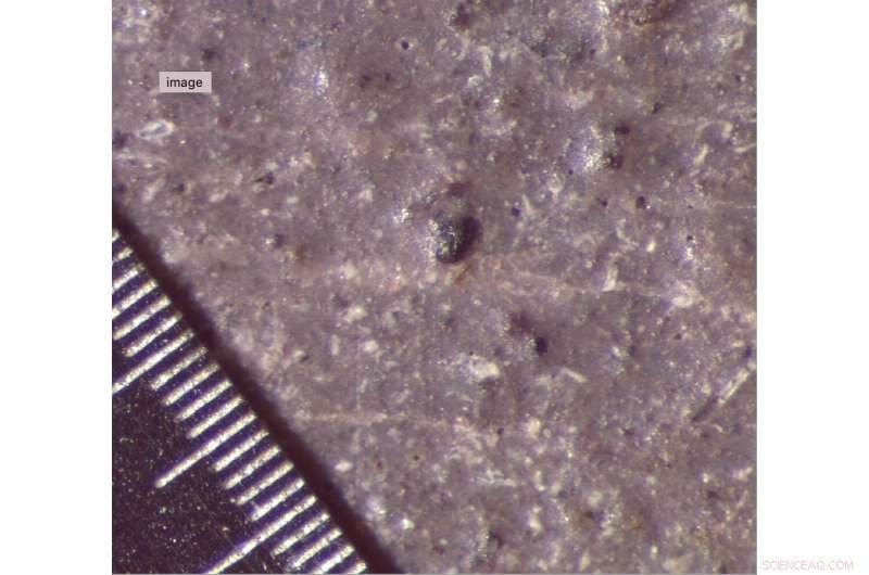 Science Unlocks Hidden Details of Ancient Egyptian Mummy Portrait