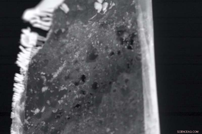 Science Unlocks Hidden Details of Ancient Egyptian Mummy Portrait