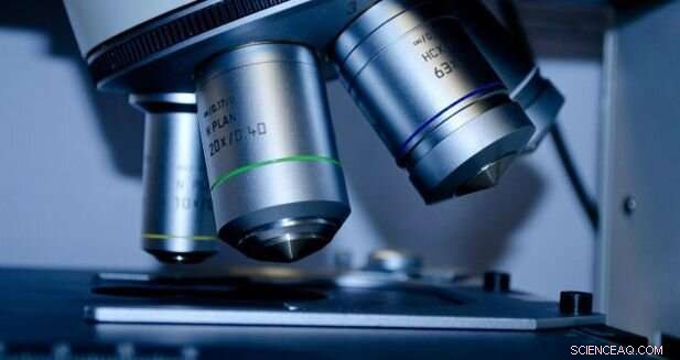 Helicates & Rotaxanes: A New Mechanically Interlocked Molecule Approach for Future Disease Therapy