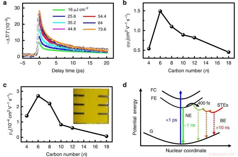 Conformational Disorder Fine‑Tunes Charge Carrier Mobility in 2‑D Perovskites – New Insights from Researchers