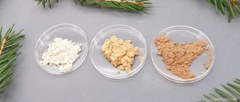 Adjusting Spruce Gum Stabilizing Properties through Advanced Extraction Techniques