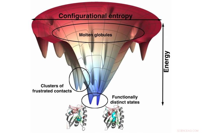 Atomic-Resolution Protein Models Reveal Novel Binding Insights