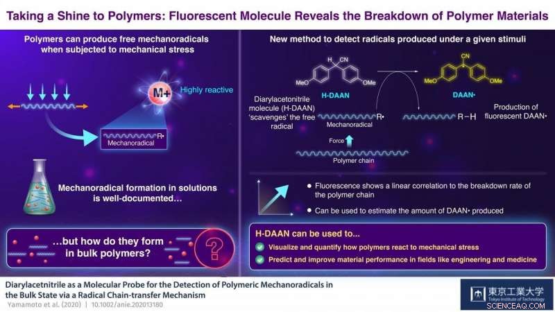 Fluorescent Probe Detects Polymer Degradation in Real Time