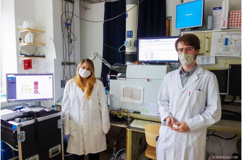 Stable Catalysts Driving the Future of Clean Energy