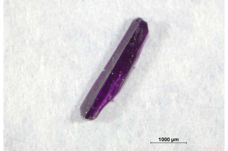 Soft Crystal Imaging Reveals Carbon Dioxide Behavior in Selective Ionic Liquids