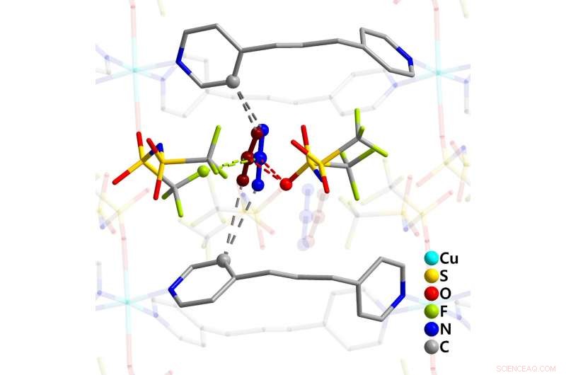 Soft Crystal Imaging Reveals Carbon Dioxide Behavior in Selective Ionic Liquids
