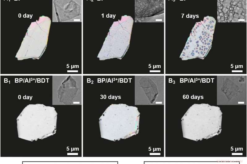 Stabilizing Black Phosphorus via Protective Chemistry: Controlling Its Reactivity