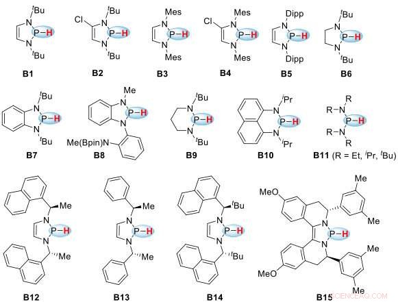 N‑Heterocyclic Phosphines: Emerging Catalysts for Efficient Transfer Hydrogenation