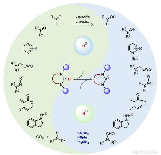 N‑Heterocyclic Phosphines: Emerging Catalysts for Efficient Transfer Hydrogenation