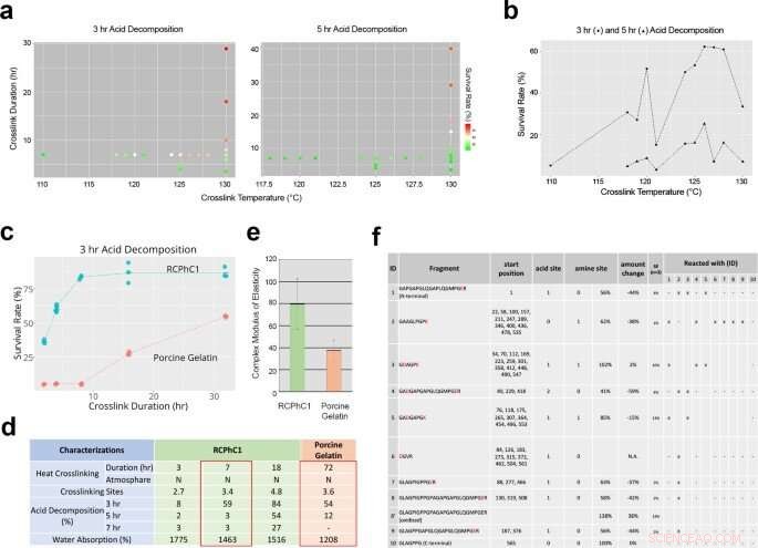 Recombinant Collagen Polypeptide: A Versatile Biomaterial for Bone Grafting