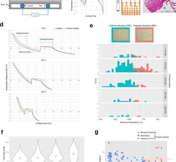Recombinant Collagen Polypeptide: A Versatile Biomaterial for Bone Grafting