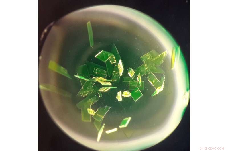 New Study Shows Protein Molecules in Cells Function as Miniature Antennas