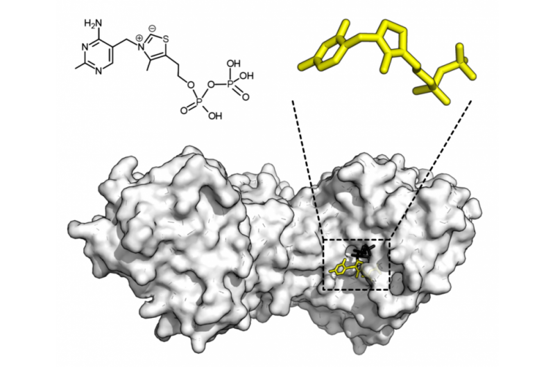 Revolutionizing Chemistry: Scientists Discover New Reaction by Defying Enzyme Rules