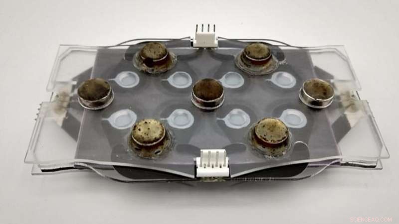 Revolutionary Device Accelerates Detection of Antibiotic-Resistant Bacteria