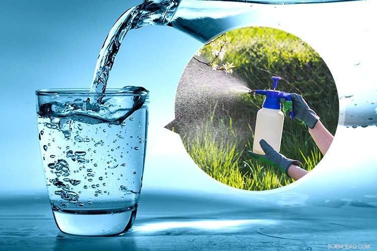 Ultra-Sensitive Transistor Detects Trace Herbicides in Drinking Water