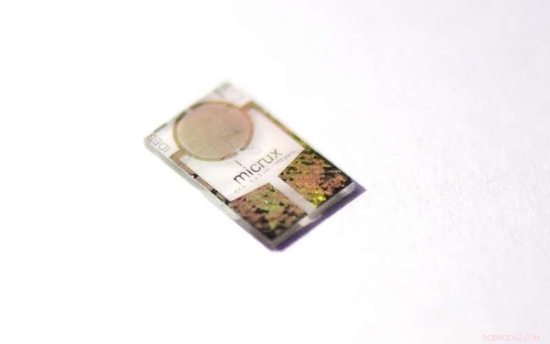 Breakthrough Hydrogen Sensor: Butterfly-Wing Design Powered by Light for Room-Temperature Precision