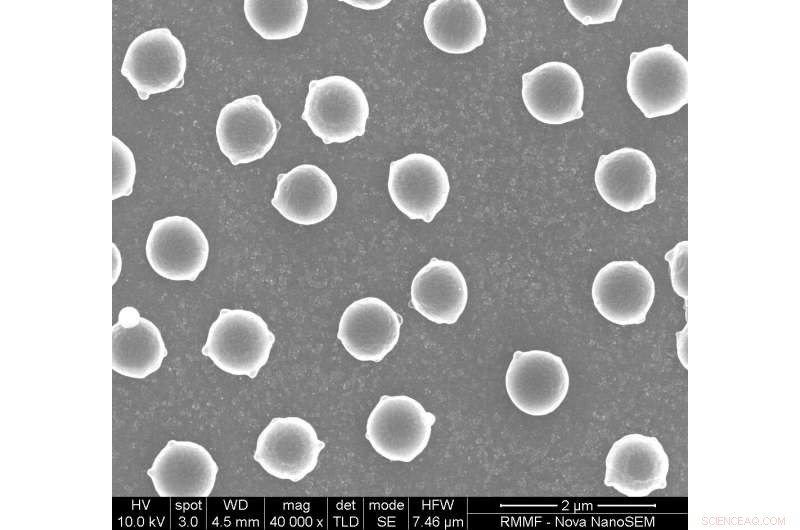 Breakthrough Hydrogen Sensor: Butterfly-Wing Design Powered by Light for Room-Temperature Precision