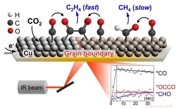 From CO₂ to Ethylene: Electrochemical Conversion Paves the Way for Sustainable Industry