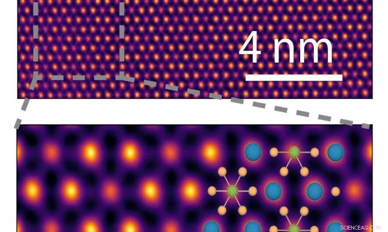 Quantum Superposition of Titanium Atoms in BaTiS₃ Crystals Drives Unexpected Thermal Conductivity Anomalies