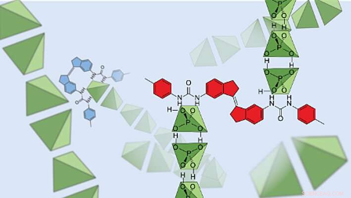 Exploring the Fascinating Chemistry of Dihydrogen Phosphate Anions