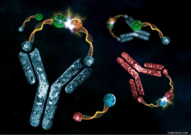 Harnessing Antibodies to Direct Synthetic Chemical Reactions