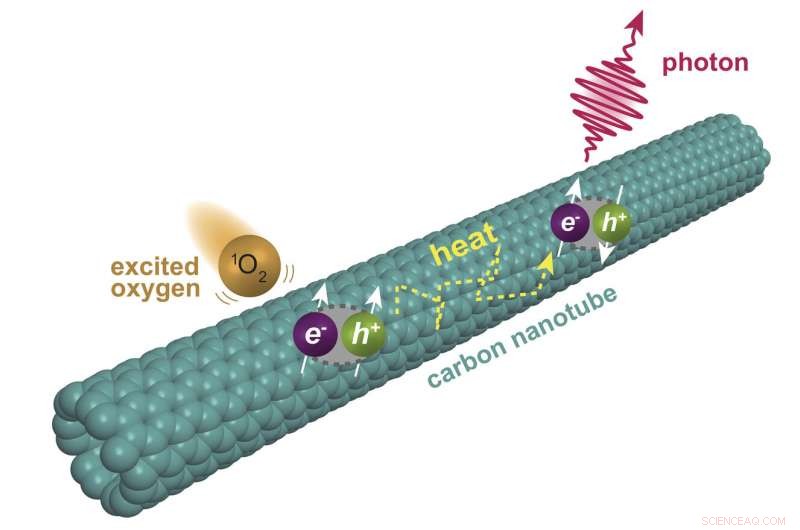 Rice University Chemists Uncover Novel Fluorescence in Single-Walled Carbon Nanotubes