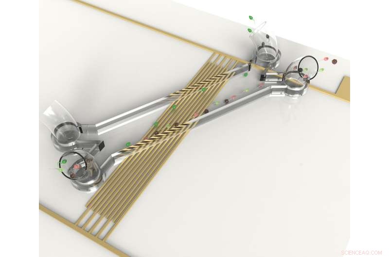 Revolutionizing IVF: Acoustic Wave Technology Enhances Sperm Selection