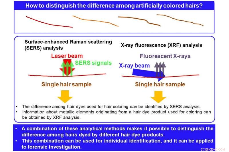 Forensic Breakthrough: Identify Single Dyed Hair Strand with Unprecedented Precision