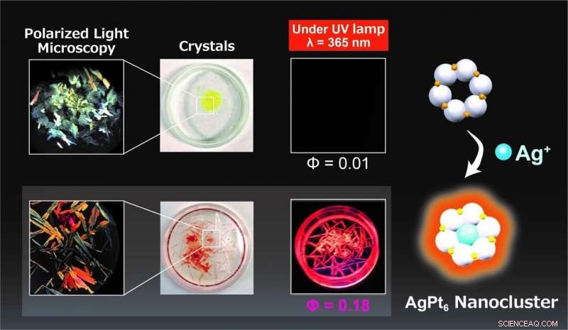 Enhancing Luminescence: Silver-Doped Nanoclusters Exhibit Bright Photoluminescence