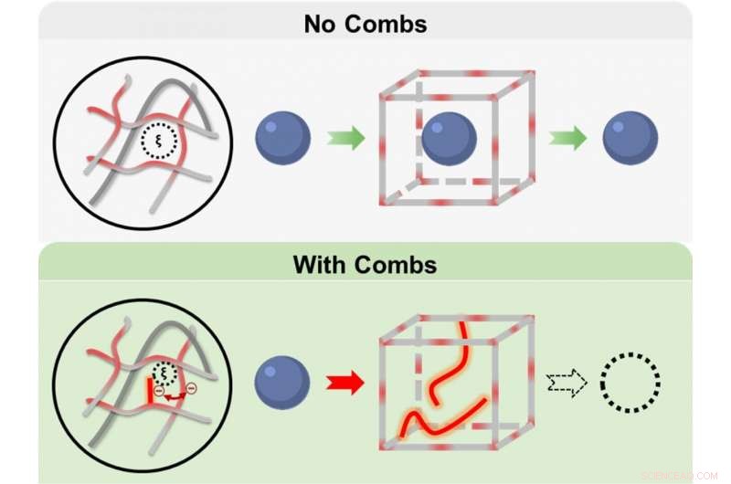 Revolutionary Hydrogels with Fine-Toothed Molecular Combs Promise Long-Lasting Glucose Monitoring Implants